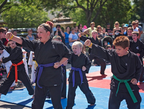 Karate Kens | 5901 S Transit Rd, Lockport, NY 14094, USA | Phone: (716) 727-2465