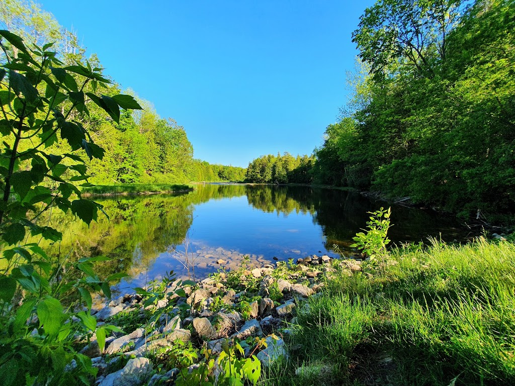 Inglis Falls Conservation Area | 237785 Inglis Falls Rd, Owen Sound, ON N4K 5N6, Canada | Phone: (519) 376-3076