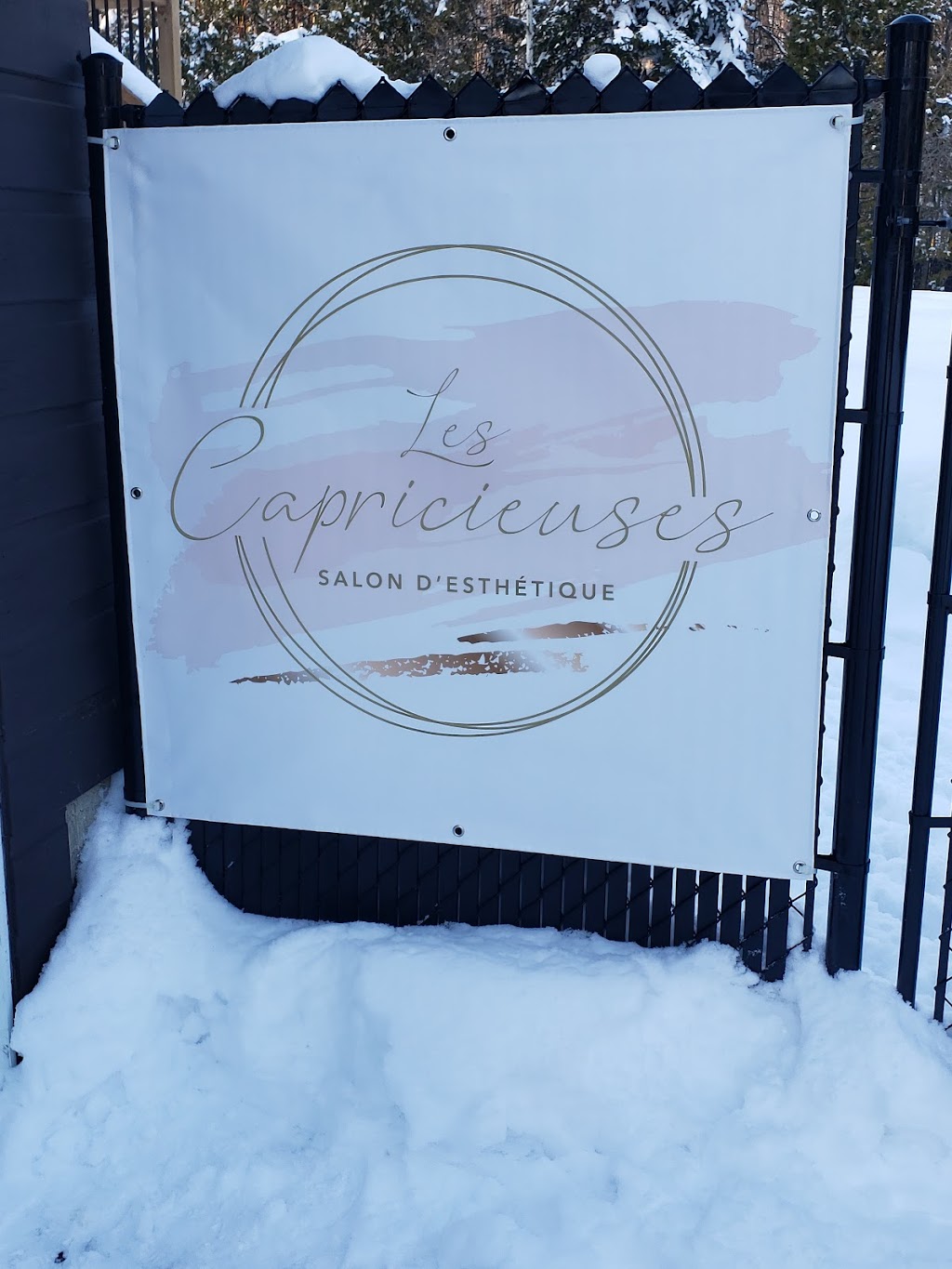 Les Capricieuses | 1169 Chemin St Roch, Terrebonne, QC J6Y 1B4, Canada | Phone: (438) 408-1333