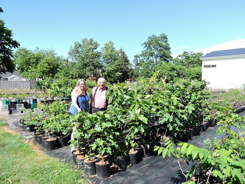 Grimo Nut Nursery | 979 Lakeshore Rd, Niagara-on-the-Lake, ON L0S 1J0, Canada | Phone: (905) 934-6887