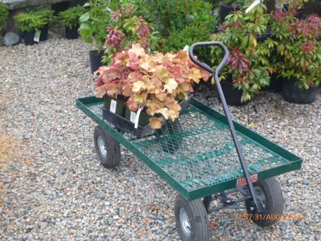 Its About Thyme Nursery Ltd | 7509 Meadow Ave, Burnaby, BC V5J 4Z2, Canada | Phone: (604) 454-0766