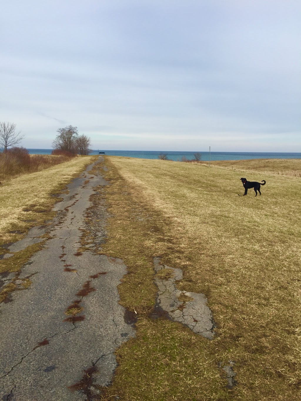 Oakes Road North Leash-Free Dog Park | Oakes Rd N, Grimsby, ON L3M, Canada