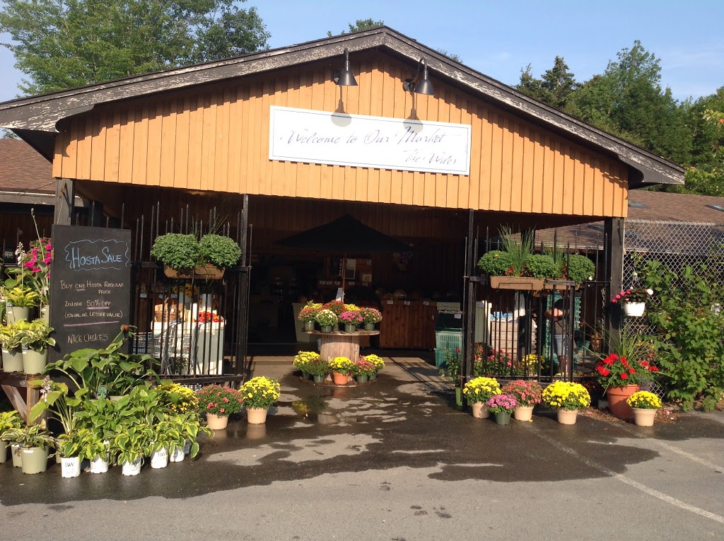 Wiles Lake Farm Market & Bakery | 3254 NS-325, Wileville, NS B4V 5G8, Canada | Phone: (902) 543-6082