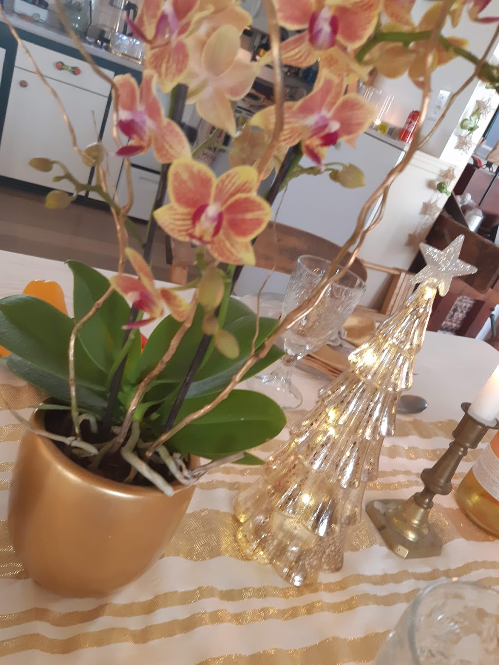 Tulip Tree Floral (new location) | 266 Ridge Rd N, Ridgeway, ON L0S 1N0, Canada | Phone: (905) 894-2446