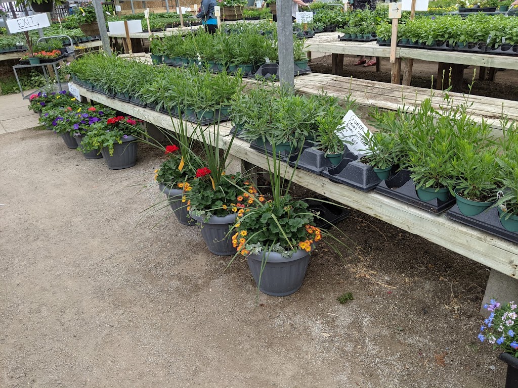 Cedar Grove Greenhouse | 7702 14th Ave, Markham, ON L6B 1A8, Canada | Phone: (905) 294-5917