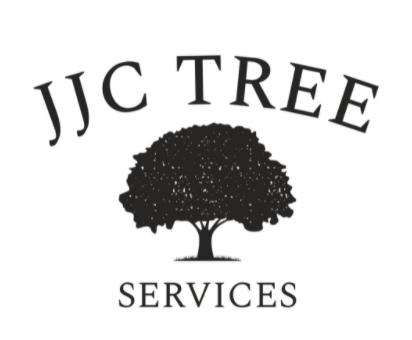 JJC TREE SERVICES | 590 McTavish St, Fergus, ON N1M 3V5, Canada | Phone: (519) 943-3919