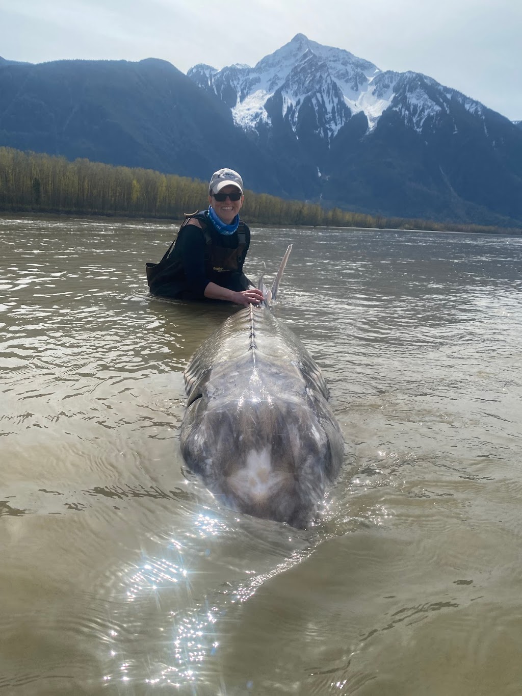 Hooked Up Fishing Adventures | 49830 Camp River Rd, Chilliwack, BC V2P 6H4, Canada | Phone: (604) 316-8880