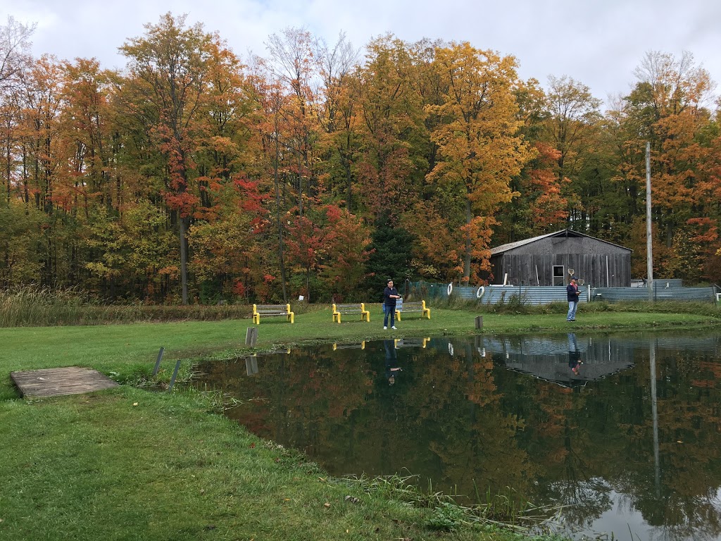 Primrose Trout Farm | 595646 Blind Line, Mono, ON L9V 0Z4, Canada | Phone: (519) 925-3846