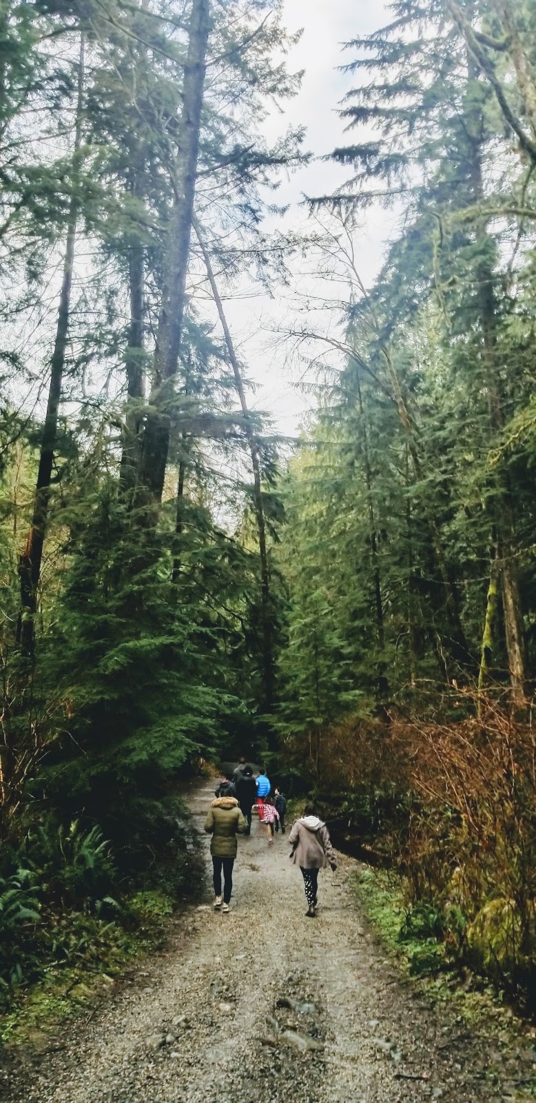 Fisherman’s Trail | Fishermans Trail, North Vancouver, BC V7H 2K6, Canada