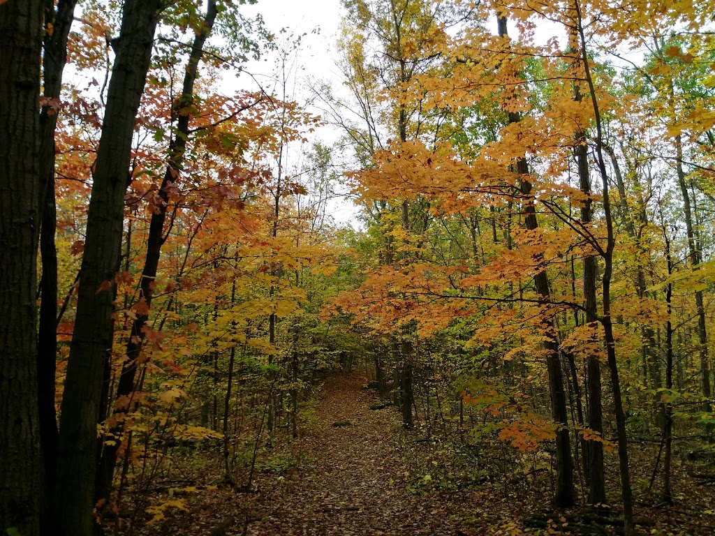 Caledon Trailway, start of the trail | Caledon Trailway Path, Caledon, ON L0P 1N0, Canada | Phone: (905) 584-2272 ext. 4235