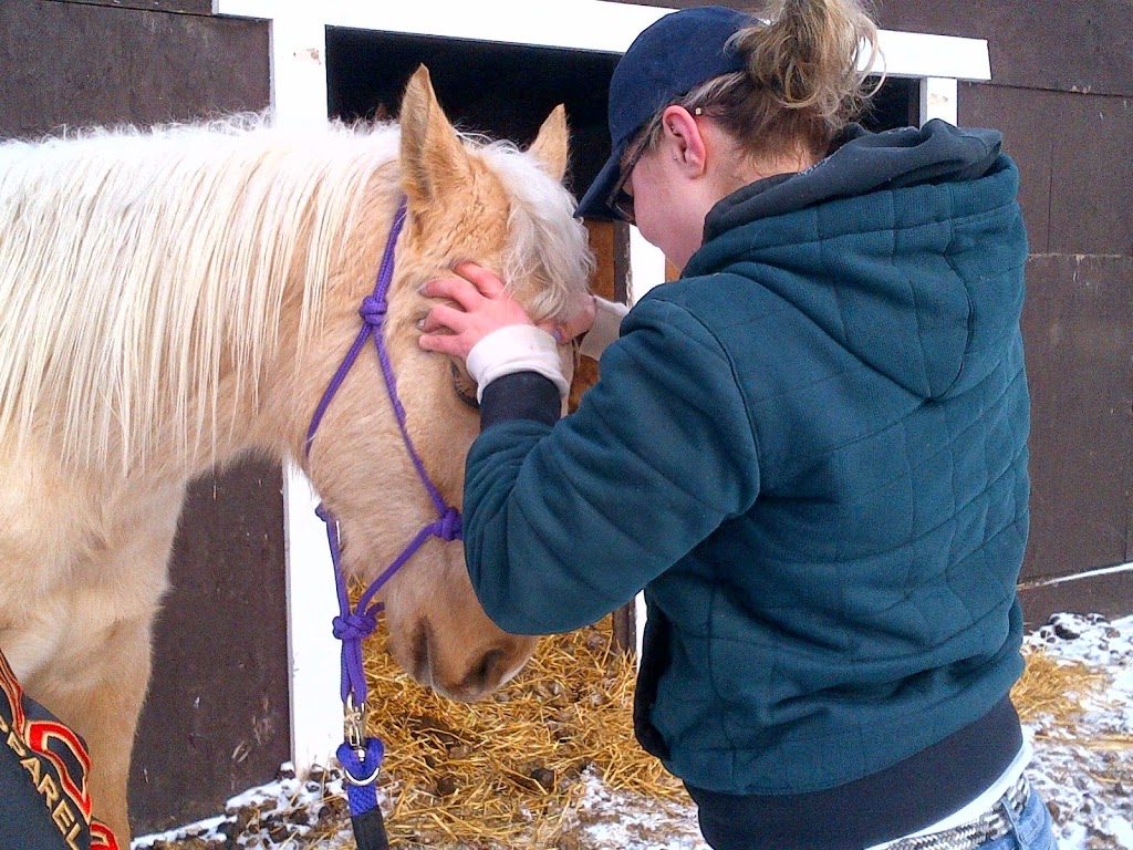 AllPoint Tack N Therapy | 51119 Range Rd 240, Leduc County, AB T4X 0M7, Canada | Phone: (780) 722-3022