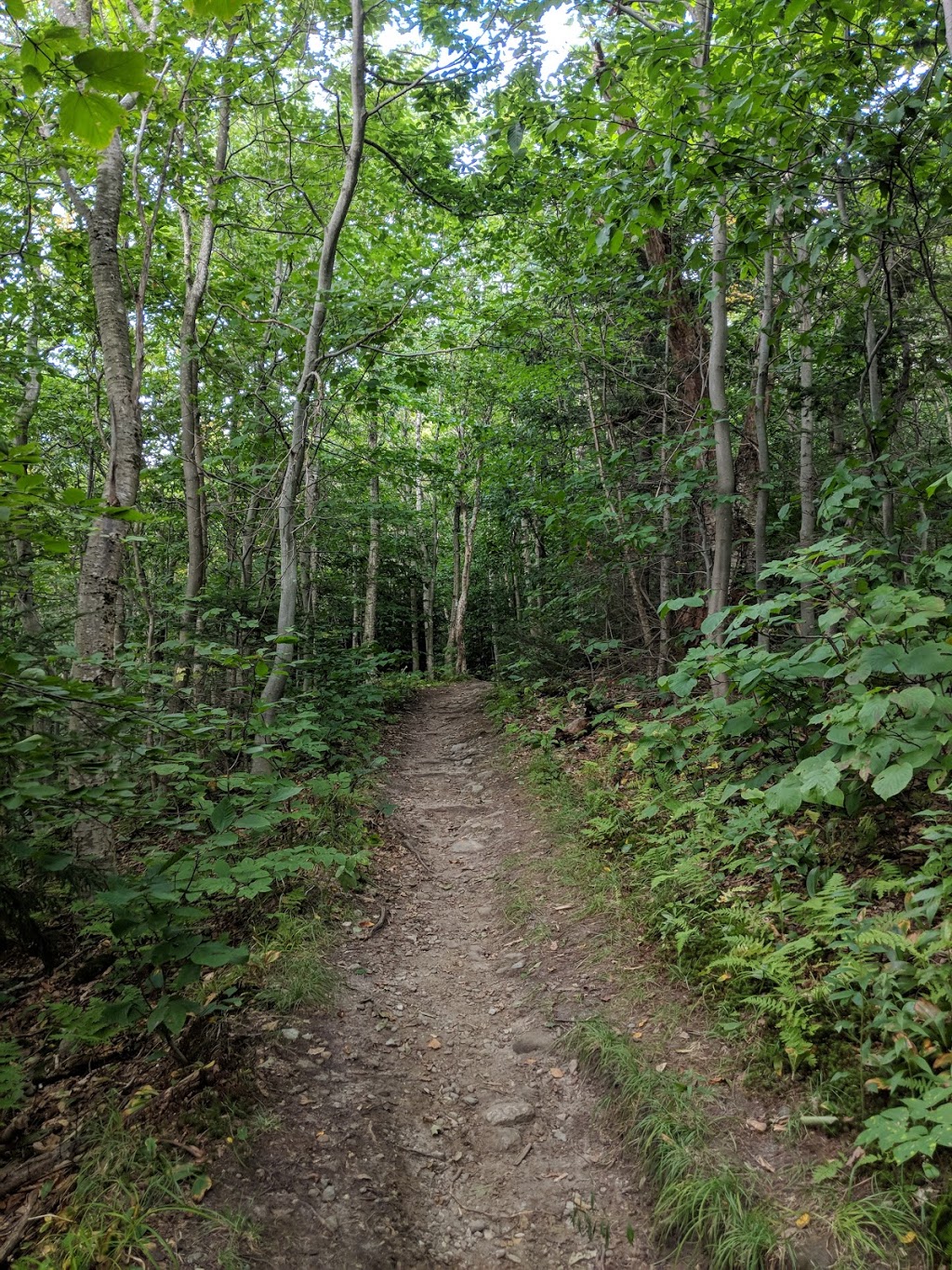 Jay Peak Trailhead | 2682, 2358, VT-242, Westfield, VT 05874, USA