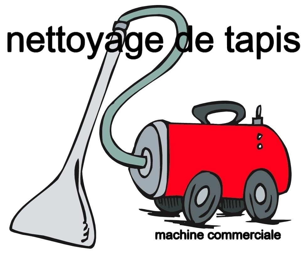 Nettoyage MF | 213 Rue des Marronniers, Saint-Eustache, QC J7R 6K6, Canada | Phone: (514) 246-4203