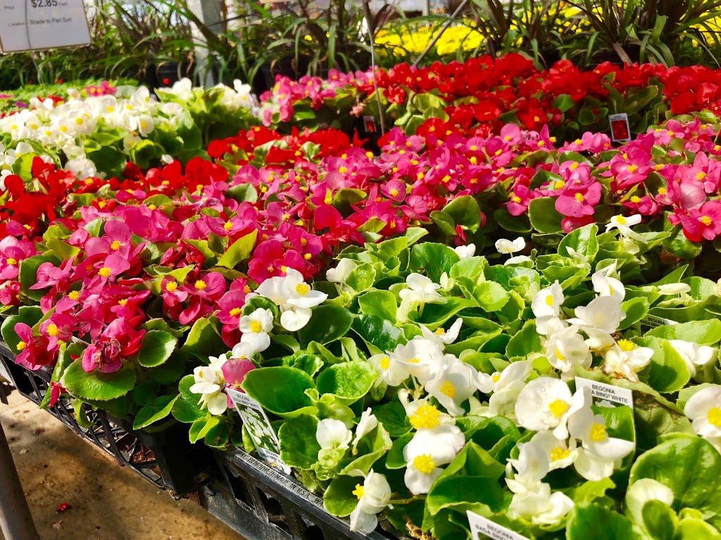 Bonnie Doon Flowers (Garden Centre) | 850 23 Ave NW, Edmonton, AB T6T 1J1, Canada | Phone: (780) 440-3053