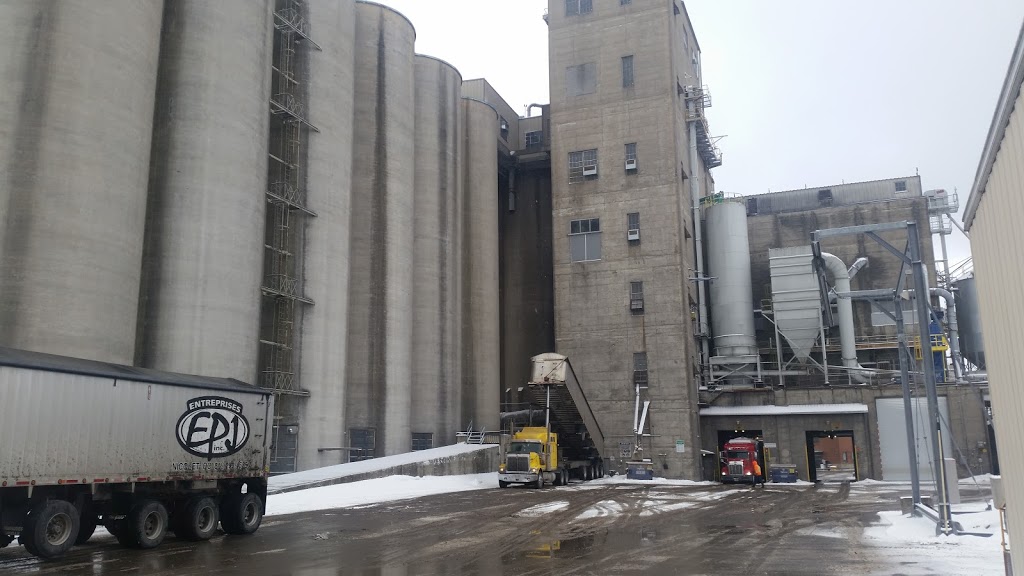 Canada Malting Co. | 205 Rue Riverside, Montréal, QC H3C 2H9, Canada | Phone: (514) 935-1133