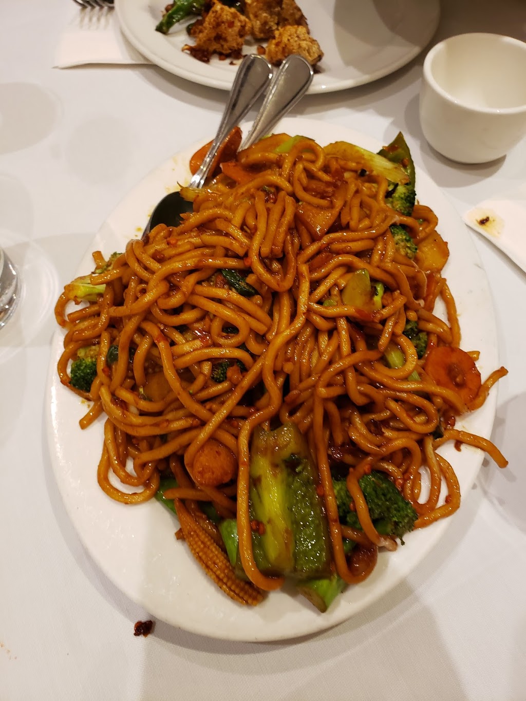 Szechuan Gourmet Restaurant | 1033 Steeles Ave W, North York, ON M2R 2S9, Canada | Phone: (416) 663-8888