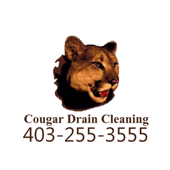 Calgary Drains.com | 2435 81 St SW, Calgary, AB T3H 3V8, Canada | Phone: (403) 247-1111