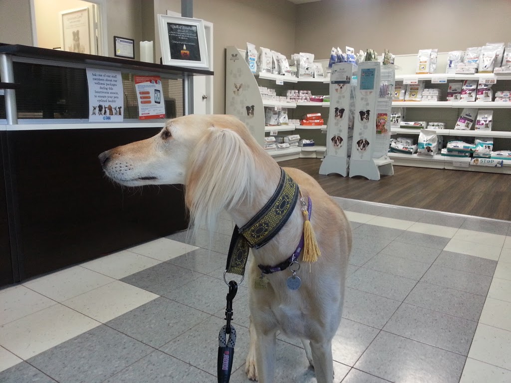 West Hill Animal Clinic | 5528 Lawrence Ave E, Scarborough, ON M1C 3B2, Canada | Phone: (416) 282-8516