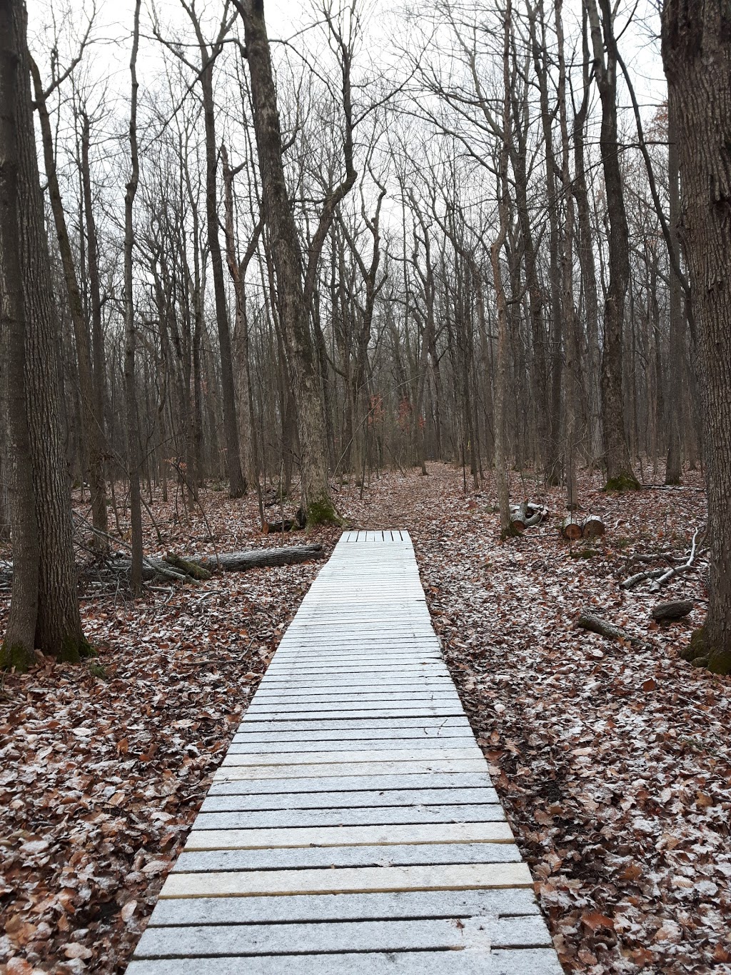 Fernand-Seguin Ecological Centre | 257 Rue Fernand-Seguin, Châteauguay, QC J6K 0J8, Canada | Phone: (450) 698-3133