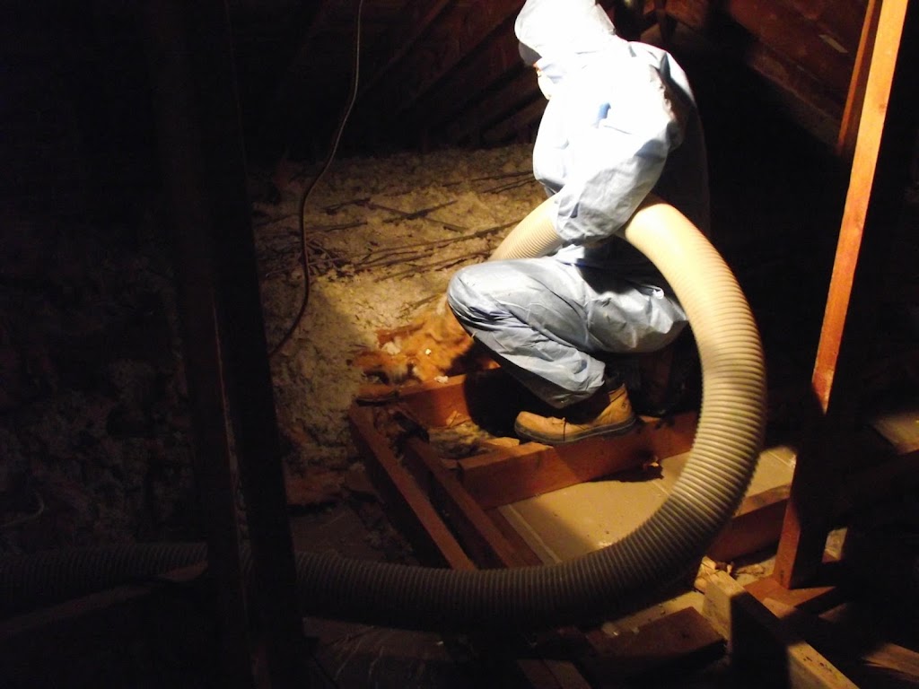 Attic-full Insulation | 98 Emilie St, Brantford, ON N3S 1T2, Canada | Phone: (519) 771-2591