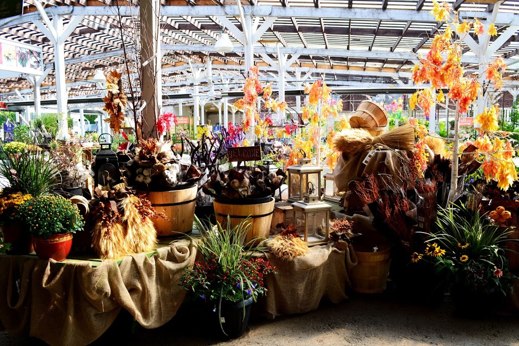 Sheridan Nurseries | 410 Taunton Rd W, Whitby, ON L1P 2A9, Canada | Phone: (905) 686-0844