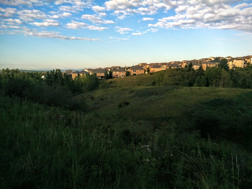 Sarina Pond | 166 R Royal Ridge Mt NW, Calgary, AB T3G 0A2, Canada