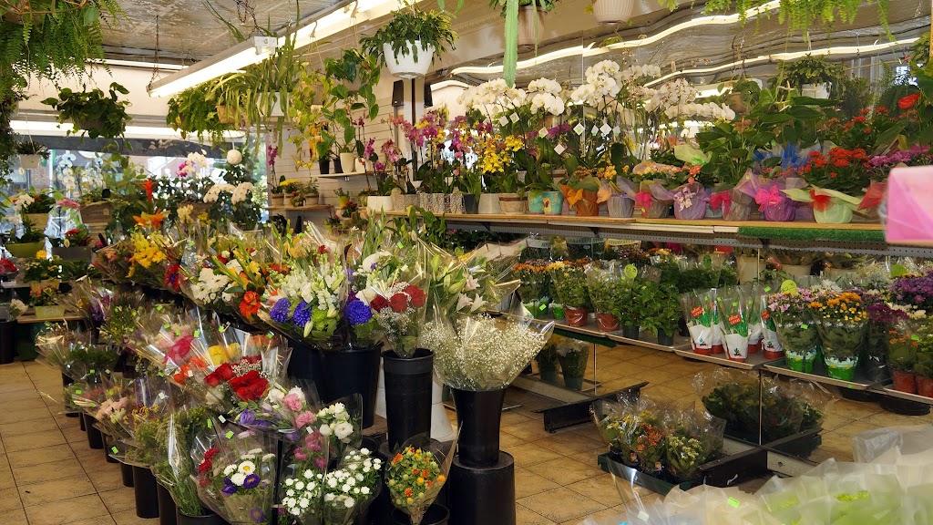 Bloor & Kennedy Flower Shop | 2194 Bloor St W, Toronto, ON M6S 1N4, Canada | Phone: (416) 766-0175
