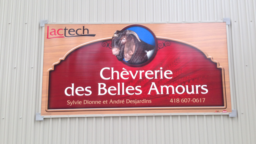 Chèvrerie des Belles Amours | 171 Chemin des Belles-Amours, LIslet, QC G0R 2B0, Canada | Phone: (418) 607-0617