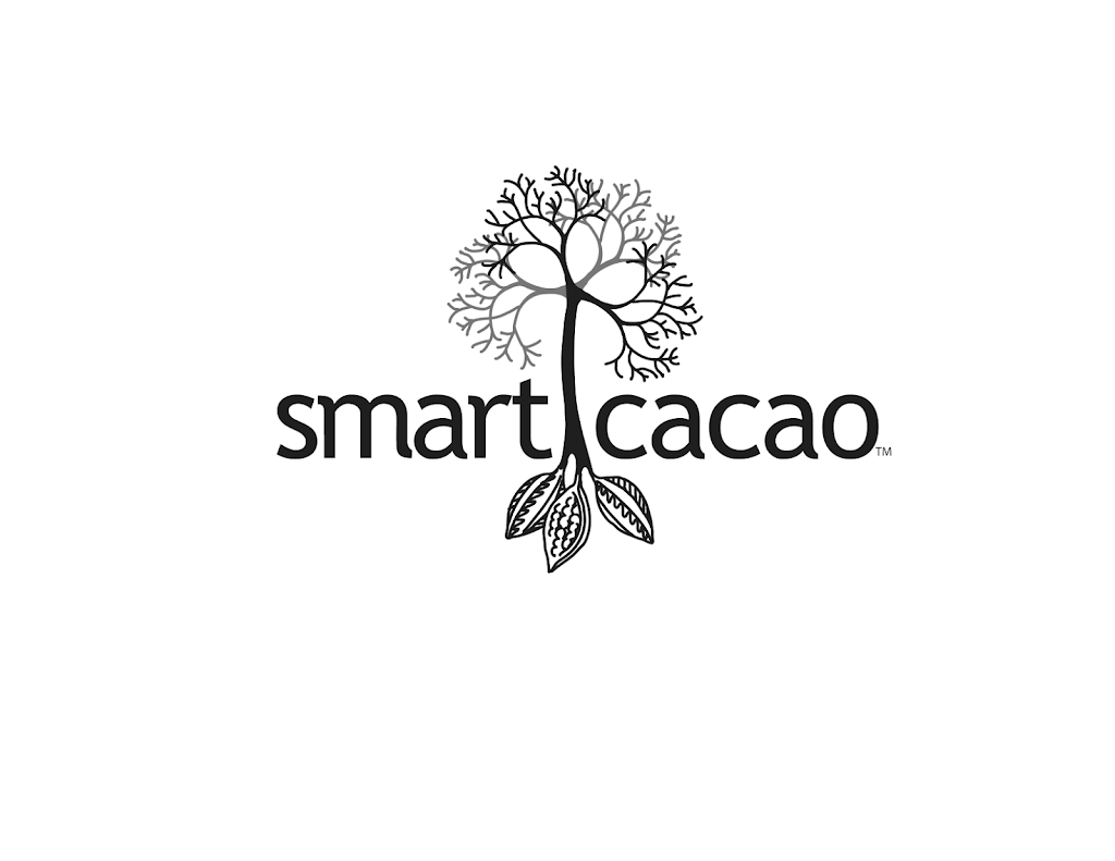 Ara Wiseman Nutrition and Healing | 1001 Eglinton Ave W, York, ON M6C 3K7 &, 343 College St, Toronto, ON M5T 1S5, Canada | Phone: (416) 876-8155