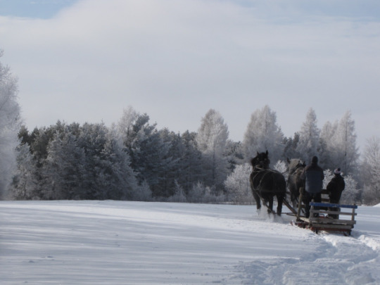 La Ferme Trotteuse | dOr, 1053 Route des Blés dOr, Sainte-Marie-de-Blandford, QC G0X 2W0, Canada