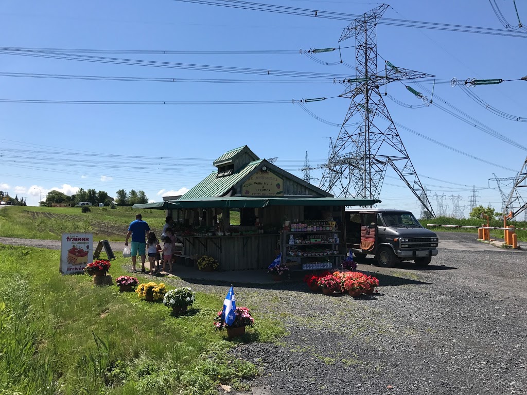 Petits Fruits & Légumes | 1250 Montée Ste Julie #1092, Sainte-Julie, QC J3E 2A4, Canada