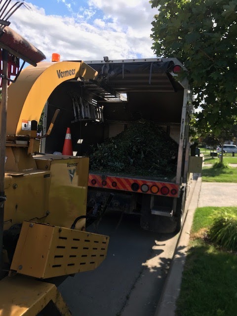 Amir Tree Services Inc. | 17 Baker Rd S, Grimsby, ON L3M 2W4, Canada | Phone: (647) 780-5234