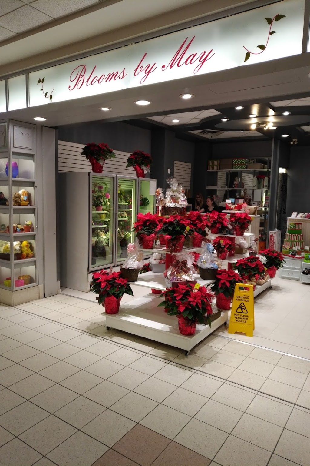 Blooms by May | 8330 82 Ave NW, Edmonton, AB T6C 4E3, Canada | Phone: (780) 244-1834