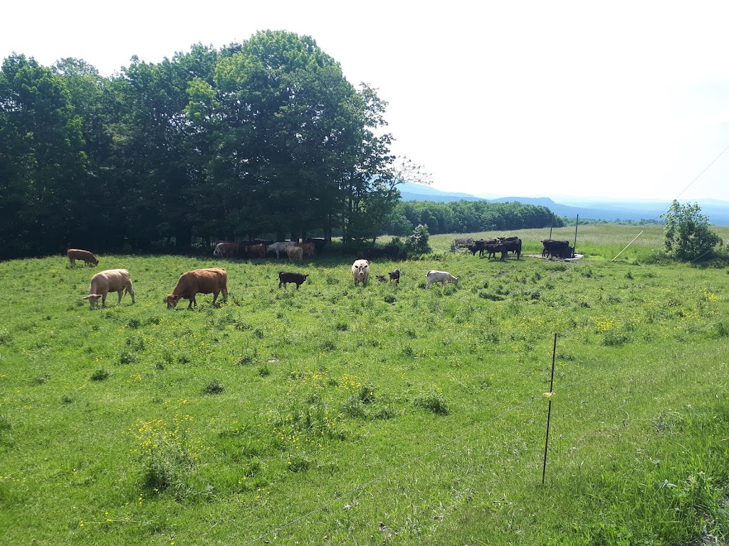 La Bouffée dAir - location vélo électrique et kayak | 362 Rte de Mansonville, Mansonville, QC J0E 1X0, Canada | Phone: (819) 919-3719