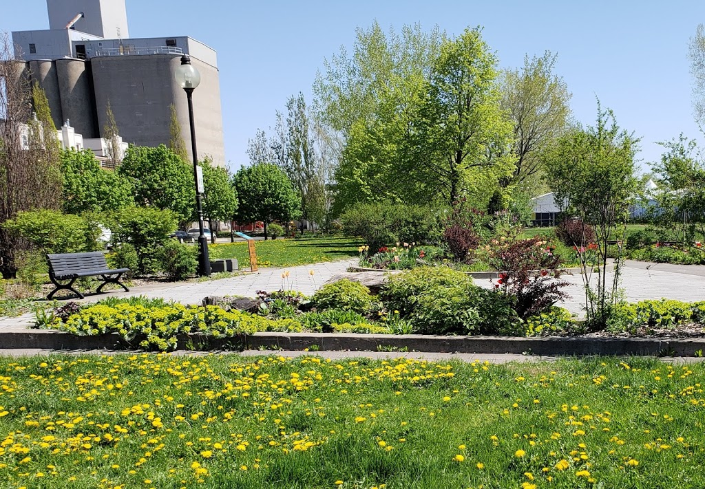 Eclusiers Park | Rue Sainte-Cunégonde, Montréal, QC H3J 2C9, Canada