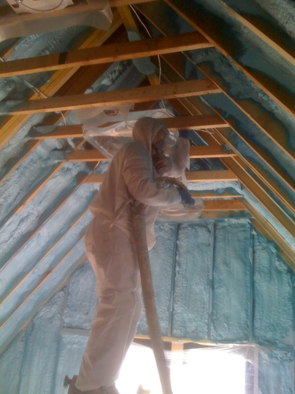 Ecogreen Insulation | 9 Cedar Ave, Thornhill, ON L3T 3W1, Canada | Phone: (416) 953-9884