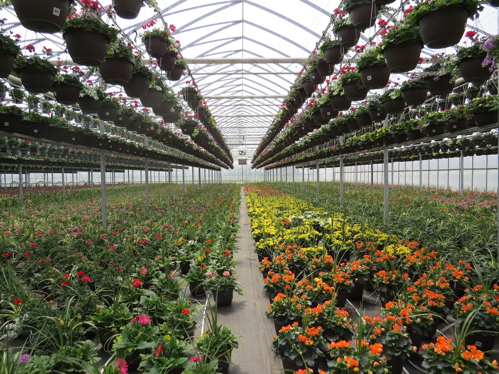 Woodley Farm & Greenhouses | 1222 Norfolk County Rd 19 E, Norfolk County, ON N0E 1Z0, Canada | Phone: (519) 443-4626