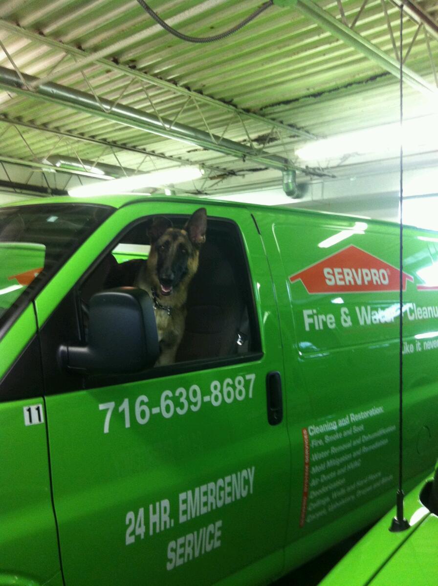 Servpro of Buffalo / Tonawanda | 57 Windsong Ct Suite 101, East Amherst, NY 14051, USA | Phone: (716) 694-9949