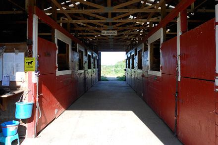 Red Colt Equestrian Farm Co-op | 12320 No 2 Rd, Richmond, BC V7E 2G1, Canada | Phone: (778) 772-3553