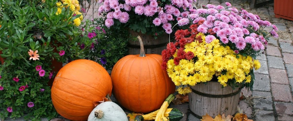 Mischlers Florist and Greenhouses | 118 S Forest Rd, Williamsville, NY 14221, USA | Phone: (716) 632-1290