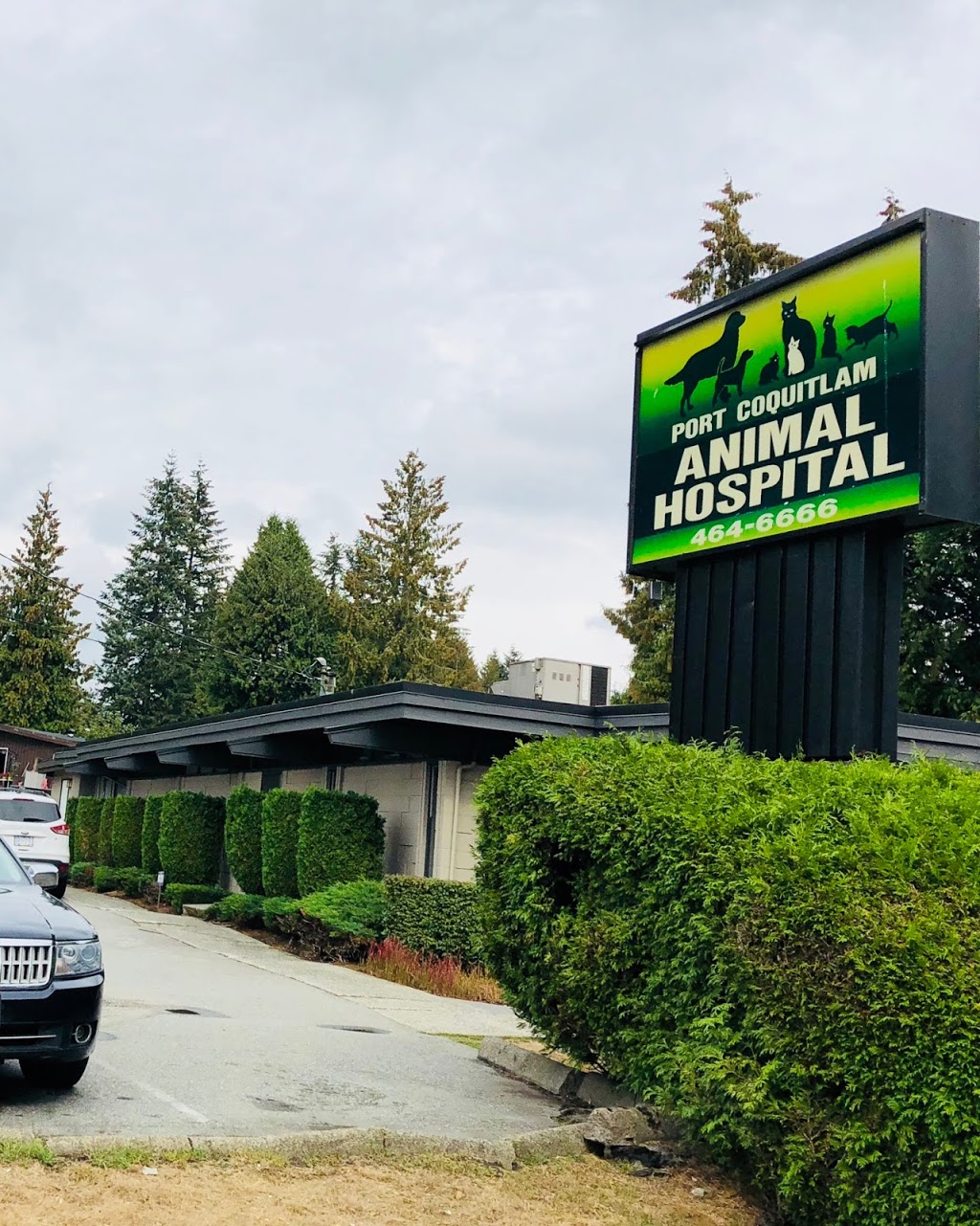 Port Coquitlam Animal Hospital | 2655 Lougheed Hwy, Port Coquitlam, BC V3B 1B5, Canada | Phone: (604) 464-6666