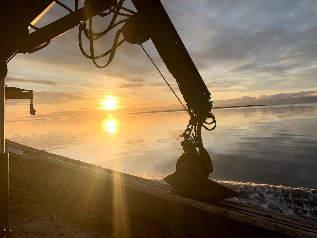 Cole Mussel Farms | New London Wharf, Kensington, PE C0B 1M0, Canada | Phone: (902) 886-2023