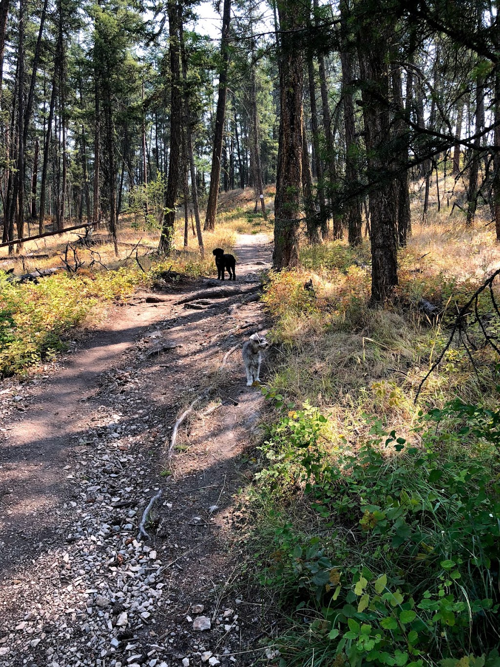 Raven Ridge Trailhead - Spion Kop Hiking Trails | 13850 Forest Hills Dr, Lake Country, BC V4V 1A5, Canada