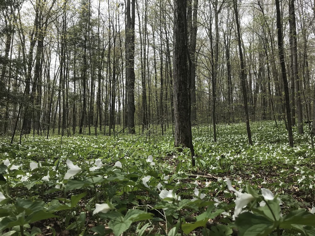 Claremont Nature Centre | 4290 Westney Rd N, Goodwood, ON L0C 1A0, Canada | Phone: (416) 661-6600