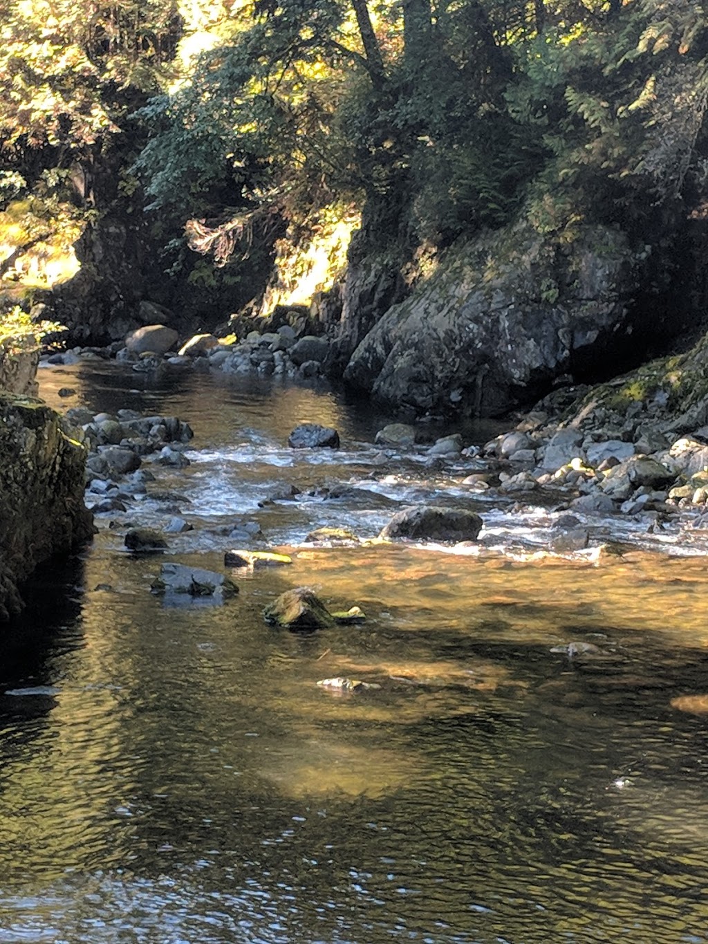 Capilano Hatchery | North Vancouver, BC V7R 4L2, Canada