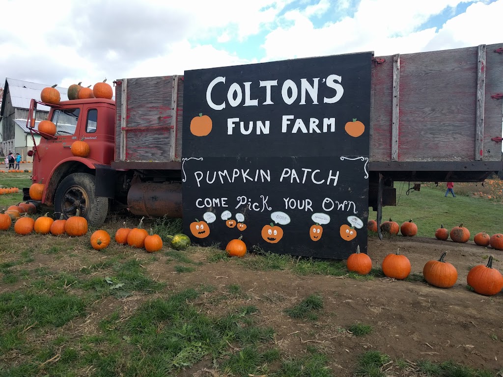 Coltons Fun Farm | 109 Jerseyville Rd, Brantford, ON N3T 5M1, Canada | Phone: (519) 209-7654