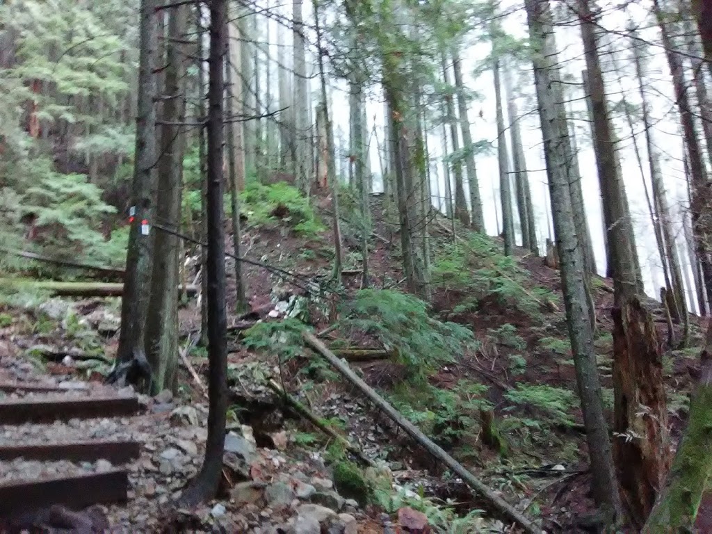 BCMC Trail | BCMC Trail, North Vancouver, BC V7R 4K9, Canada | Phone: (604) 224-5739