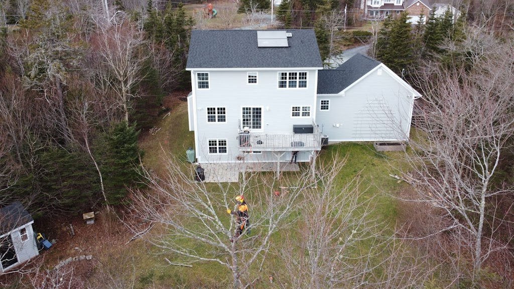 TimberTime Tree Service | 262 Montague Rd, Lake Loon, NS B2W 6C2, Canada | Phone: (902) 809-8733