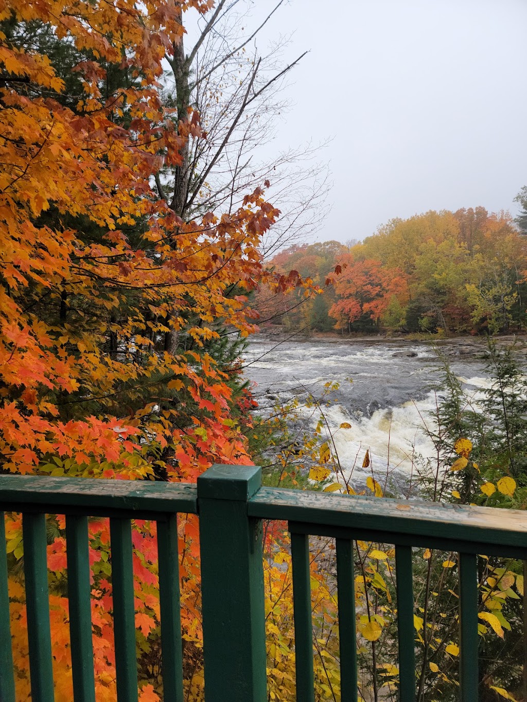 Ile de la grande patate à Blanchard | 282 Rue des Eaux-Vives, Saint-Jérôme, QC J7Y 4N9, Canada | Phone: (450) 626-8775