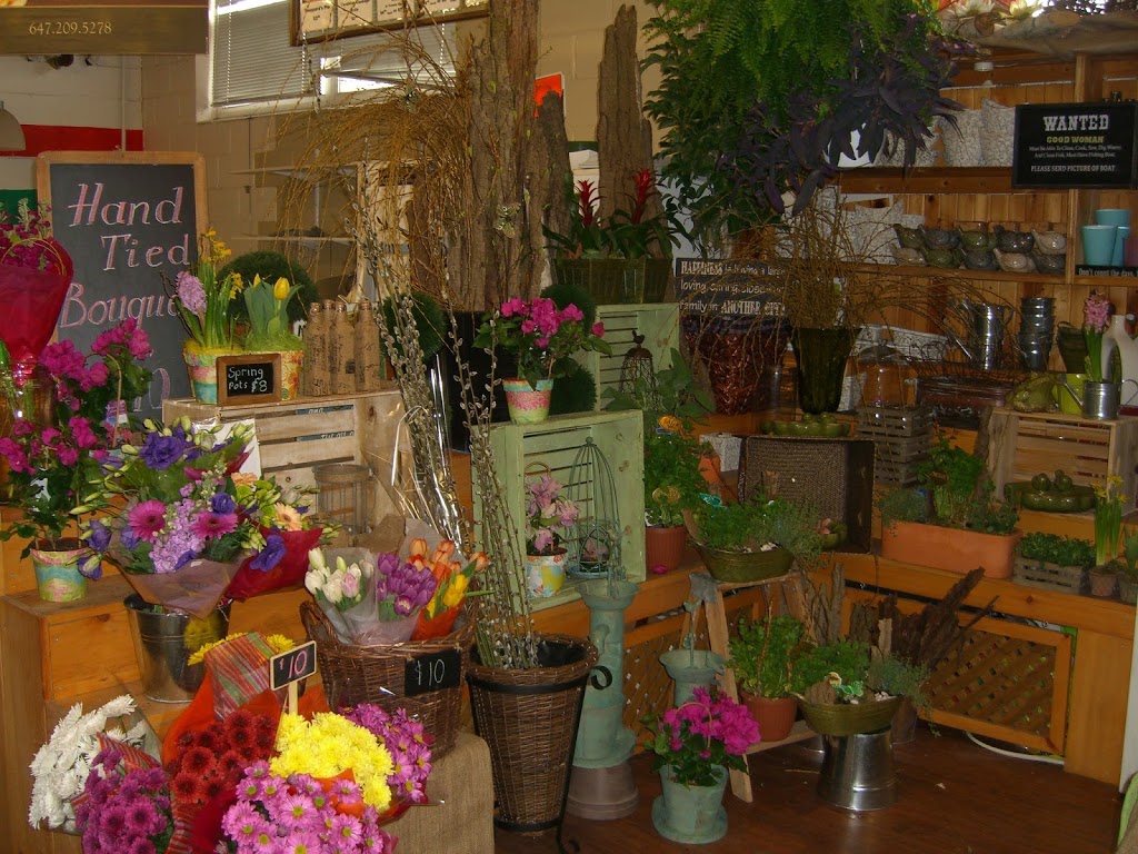 Thornhill Market Florist | 7509 Yonge Street, Markham, ON L3T 2B4, Canada | Phone: (647) 760-0409